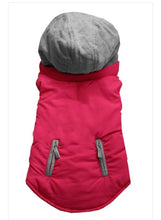 Load image into Gallery viewer, Reversible Dog Coat - Pink