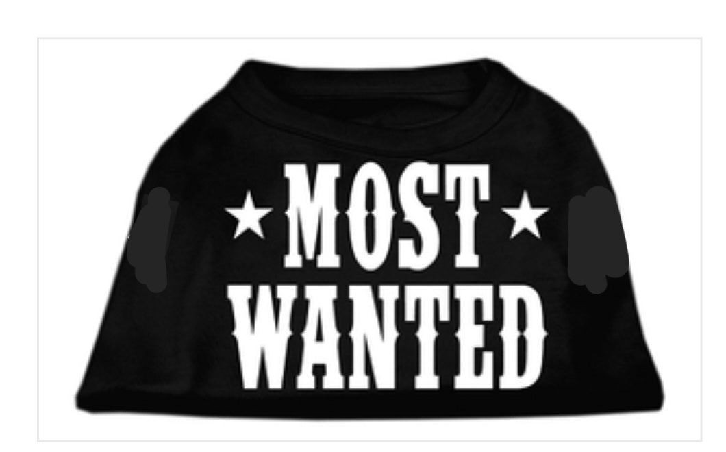 Most Wanted Dog Shirt - Black