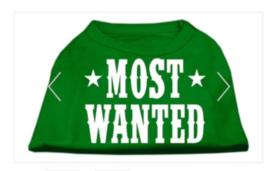 Most Wanted Dog Shirt - Green