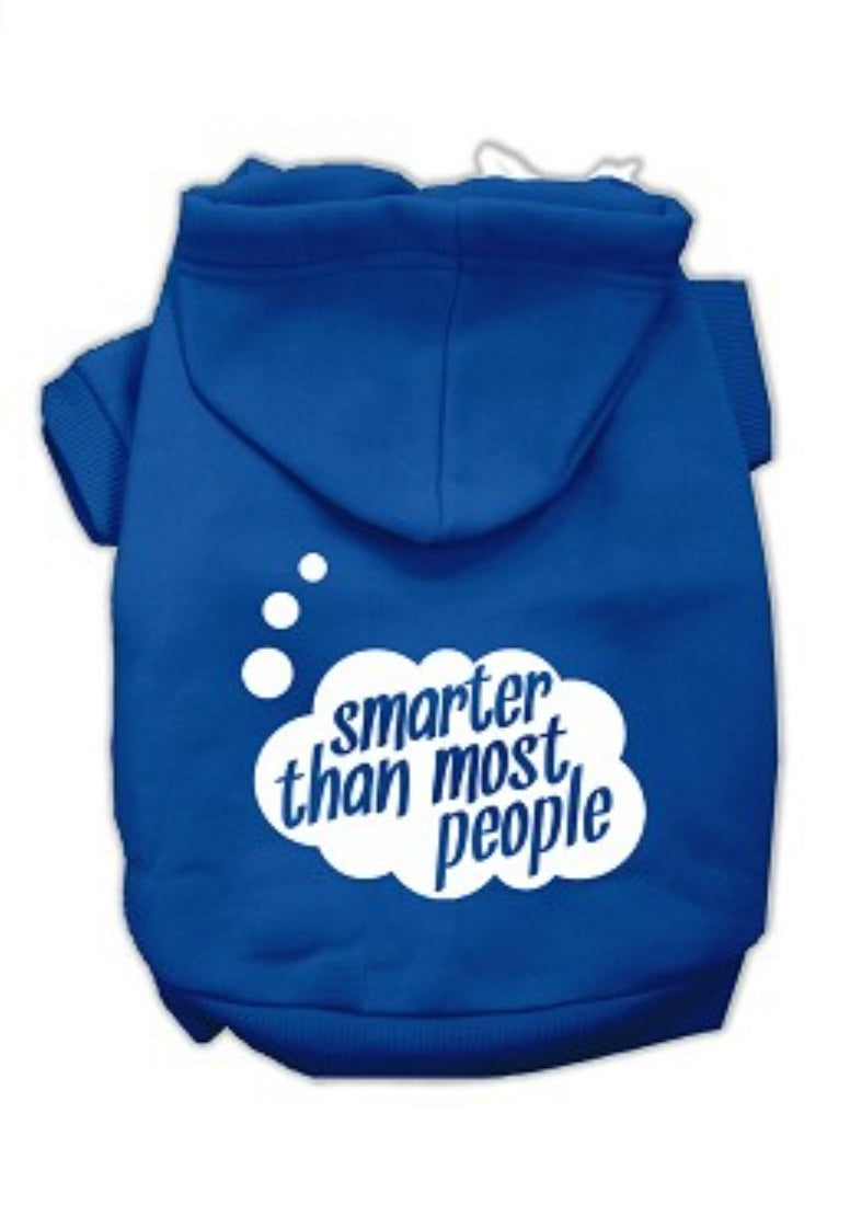 Smarter Than Most People Screen Print Hoodie - Blue