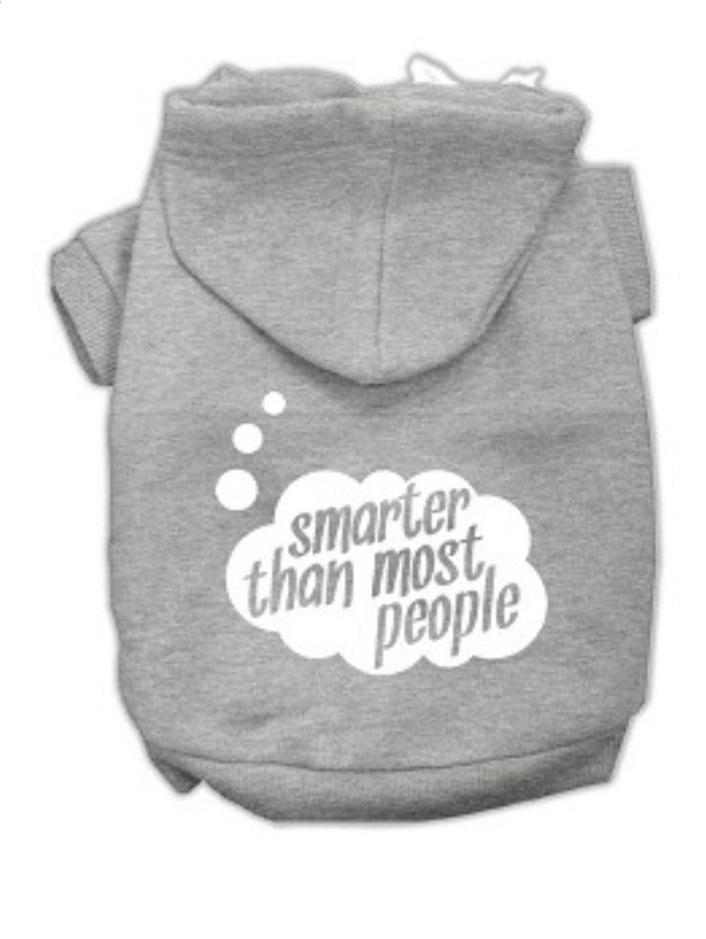 Smarter Than Most People Screen Print Hoodie - Gray
